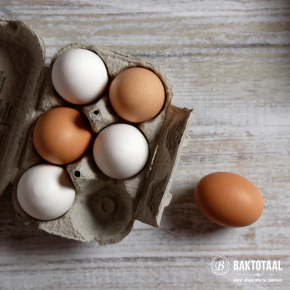 Wat is het verschil tussen witte en bruine eieren?